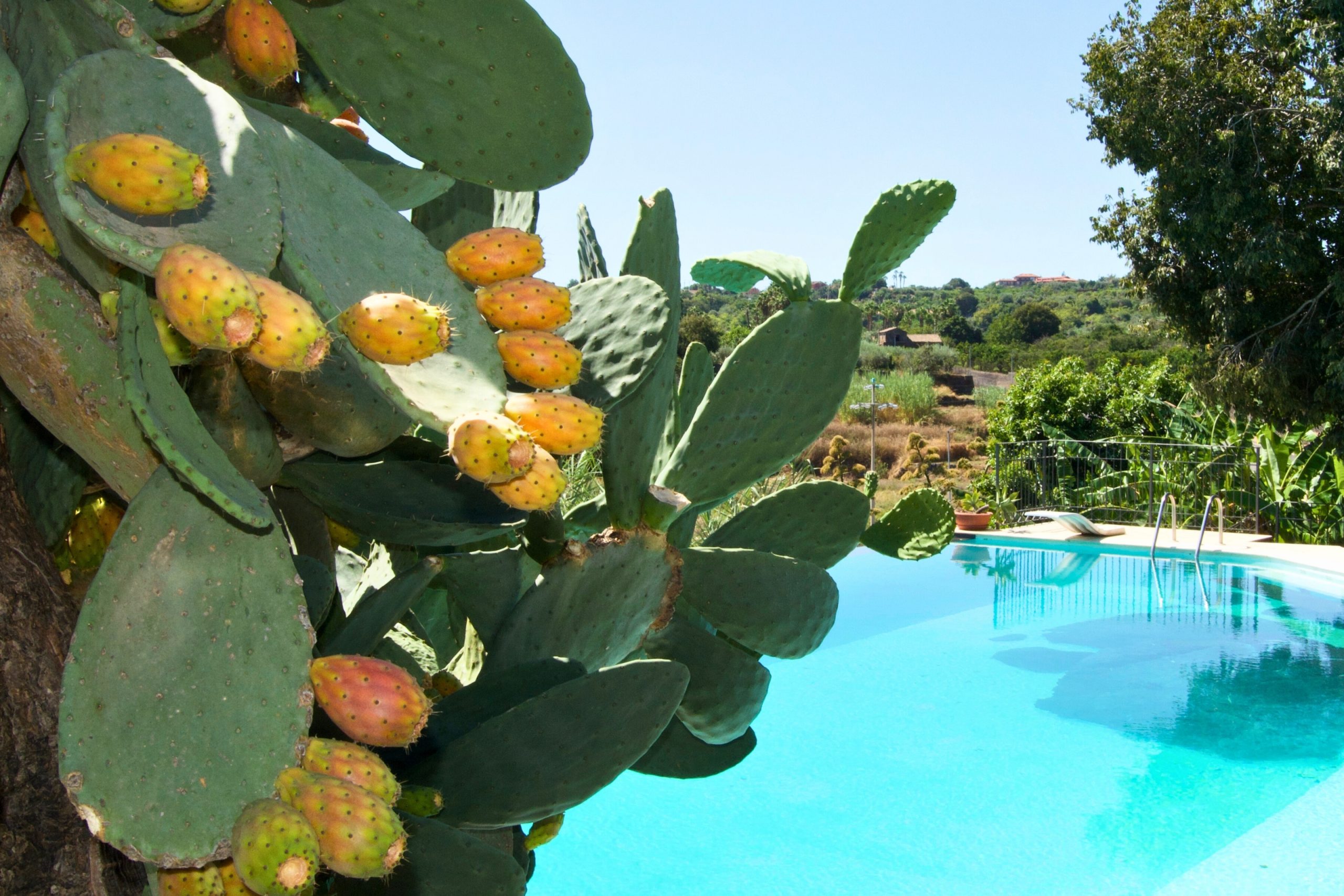 Villa Delle Antiche Terme Romane