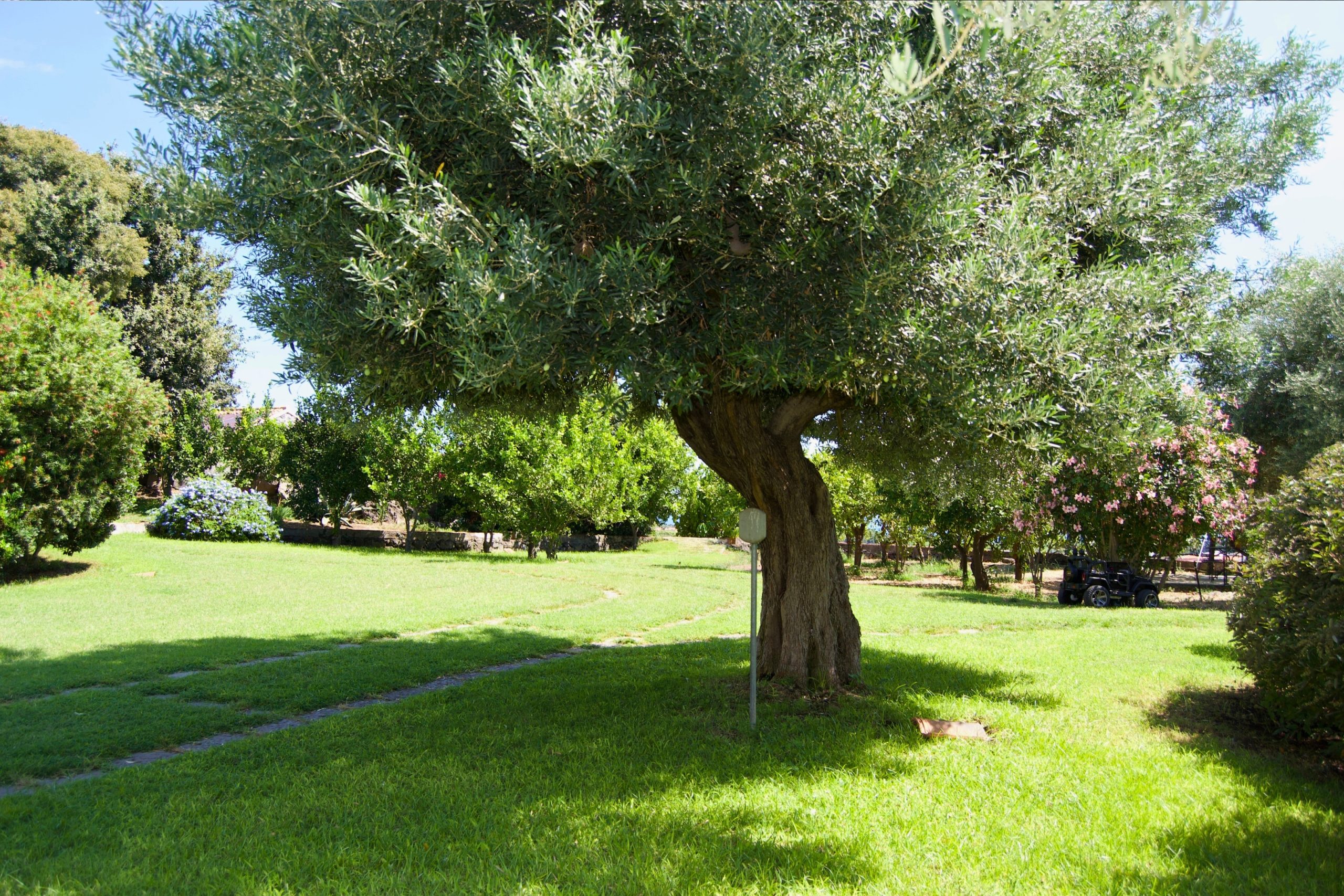 Villa Delle Antiche Terme Romane